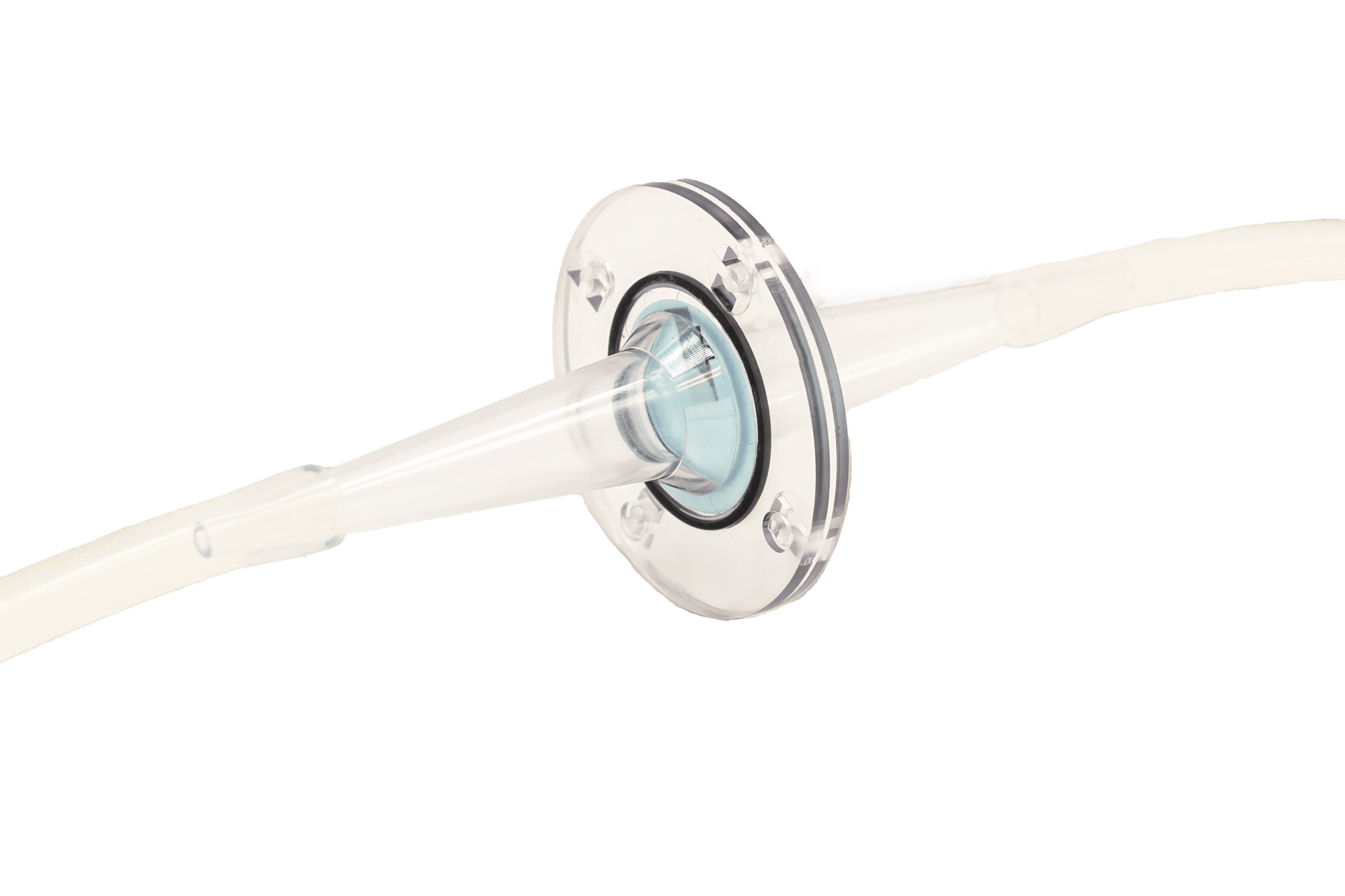 Proline v4 Proline v4